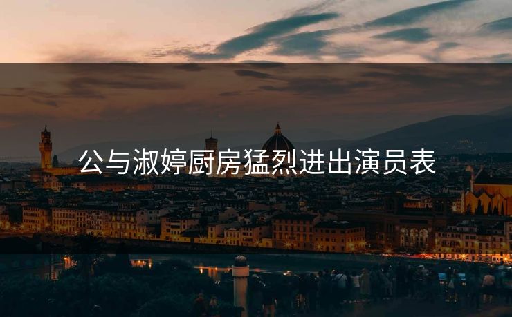 公与淑婷厨房猛烈进出演员表