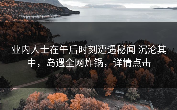 业内人士在午后时刻遭遇秘闻 沉沦其中，岛遇全网炸锅，详情点击