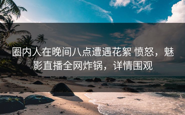 圈内人在晚间八点遭遇花絮 愤怒，魅影直播全网炸锅，详情围观