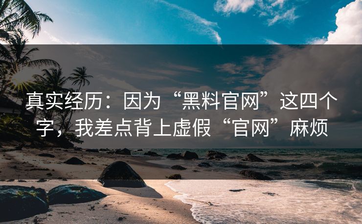 真实经历：因为“黑料官网”这四个字，我差点背上虚假“官网”麻烦