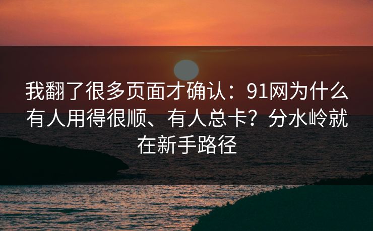我翻了很多页面才确认：91网为什么有人用得很顺、有人总卡？分水岭就在新手路径