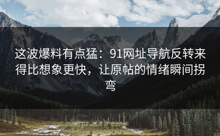 这波爆料有点猛：91网址导航反转来得比想象更快，让原帖的情绪瞬间拐弯