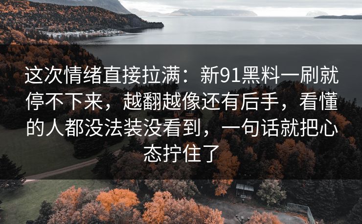 这次情绪直接拉满：新91黑料一刷就停不下来，越翻越像还有后手，看懂的人都没法装没看到，一句话就把心态拧住了